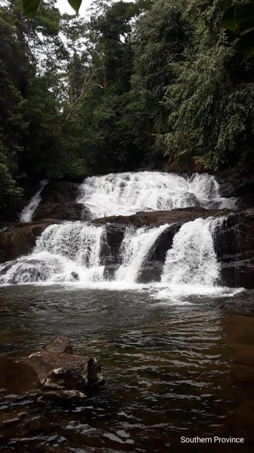 Rainforest River Edge دينيايا المظهر الخارجي الصورة