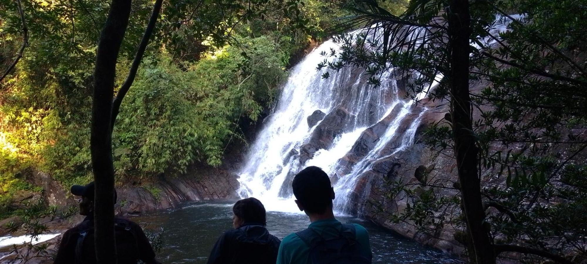 Rainforest River Edge دينيايا المظهر الخارجي الصورة